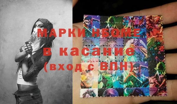 дмт Бородино
