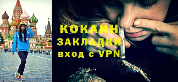 дмт Бородино